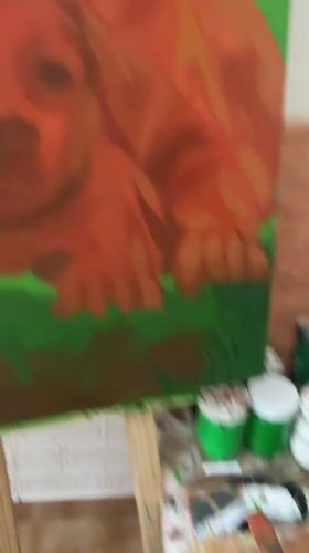 Artist's palette and paints documented in Bulgarian village