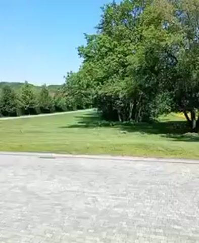 The video shows a paved driveway made of interlocking gray stones. A large green lawn is visible to the right of the driveway, bordered by a line of trees. Beyond the lawn and trees, several houses with red roofs can be seen nestled among more trees, with a rolling green landscape in the background. The sky is clear and blue. The camera appears to be panning slowly to the right, revealing more of the landscape.