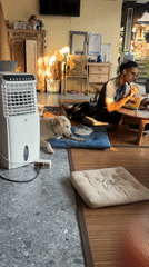 Morning life documented across North Kuta streets and homes