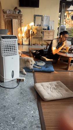 Morning life documented across North Kuta streets and homes