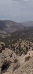 Tourist activity documented in Ziarat's mountain landscapes and juniper groves