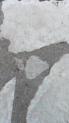 The video shows a close-up of fractured, white, porous rocks scattered across a rough, grey, granular surface. As the camera pans up, the scene transitions to reveal a rocky, uneven terrain with various rocks and dry vegetation. Further up, the view expands to show a vast expanse of turquoise ocean meeting a clear, light blue sky at the horizon.