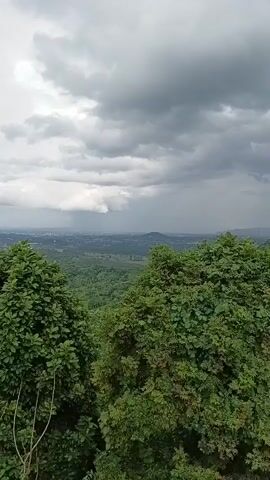 The video shows a scenic view of a lush green landscape under a cloudy sky. The camera pans across rolling hills covered in dense trees, with a hint of a town or city in the distance. The sky is filled with dramatic clouds, and it appears that rain is falling in the distance, creating a misty effect over the landscape. The foreground is dominated by the tops of large trees with vibrant green leaves, obscuring the lower part of the view. The overall impression is one of natural beauty and a tranquil, possibly damp, atmosphere.
