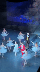Nutcracker ballet performance captivates packed Tbilisi theater audience