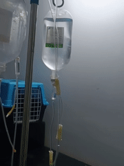 Medical IV equipment documented in Nairobi healthcare setting
