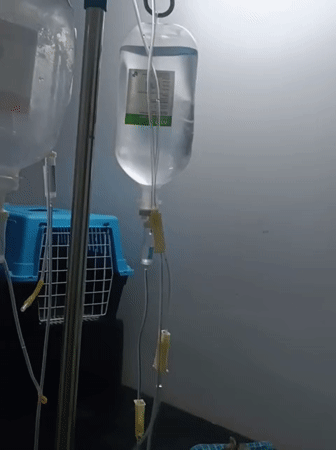 Medical IV equipment documented in Nairobi healthcare setting