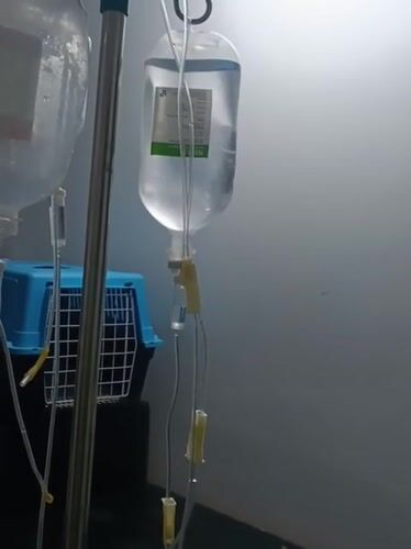 Medical IV equipment documented in Nairobi healthcare setting