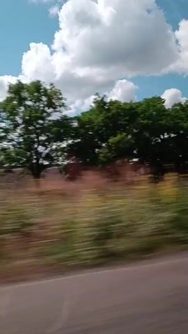 The video is a blurry, motion-filled view from a vehicle traveling through a rural landscape. The scene is dominated by a vast, open field under a bright blue sky with fluffy white clouds. In the foreground, a blurry line of green trees runs along the horizon, obscuring the view of what lies beyond. The colors are washed out and streaked due to the motion, giving the impression of speed. The field itself appears to be a mix of green and brown, possibly indicating cultivated land or a transition in vegetation. There are no discernible people or specific objects in the frame, only the natural elements of the environment. The overall impression is that of a quick drive through the countryside on a sunny day.