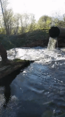 Woman documents nature walk near waterways in Зипуново, Russia