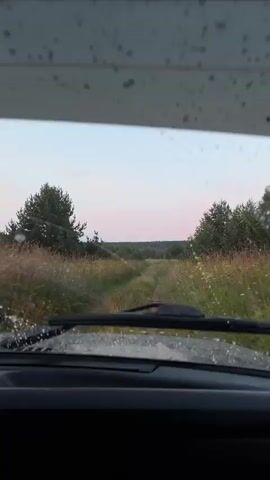 The video begins with a view through a car windshield, showing a rural landscape with trees and a pinkish-blue sky. As the video progresses, the camera moves inside the car, capturing blurry shots of two people. The first person, wearing a cap and a camouflage jacket, appears to be the driver. The second person, also blurry, is seated and looking towards the camera. The scene suggests the individuals are on a road trip during sunset.