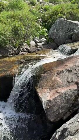The video shows a close-up of a small waterfall cascading over rocks in a natural setting. The water is clear and white as it falls, creating a foamy texture in the pool below. The surrounding environment is lush and green, with rocks and vegetation visible on either side of the stream. The sunlight appears to be bright, creating highlights on the water and rocks. The video is shot from a slightly elevated perspective, looking down at the waterfall.