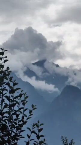 The video shows a mountainous landscape under a cloudy sky. In the foreground, there are dark green leaves on branches on the left side of the frame. The mountains in the background are shrouded in mist and clouds, with their peaks obscured. The sky is overcast with gray and white clouds.
