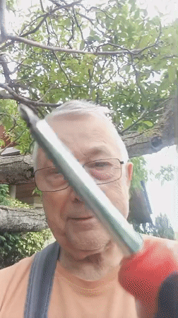 Ordinary morning documented in Nitra: repairs, pets, cooking