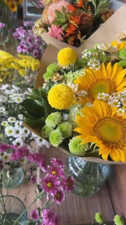Kitten approaches dog amid flower arrangements in Mengwi home