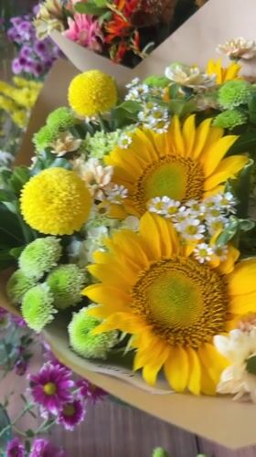 Kitten approaches dog amid flower arrangements in Mengwi home