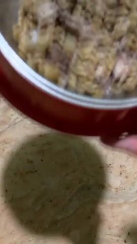 A person's hand is seen holding a red-ringed metal bowl filled with dog food. The dog food appears to be kibble mixed with some shredded meat. A dog, with black and white fur, is shown eating from the bowl. The dog is positioned above the bowl, with its head lowered, and is actively consuming the food. The scene takes place indoors, with a speckled, marble-patterned floor visible.