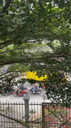 Groups in purple shirts gather in Indonesian streets