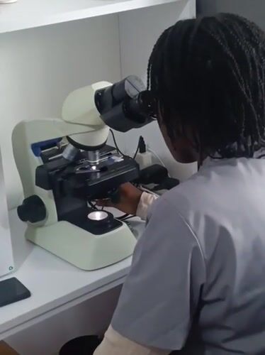Person conducts microscope work at Nairobi laboratory