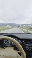 Spring drive through flowering trees captured in Enina, Bulgaria