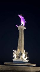 Lovina Beach's dolphin monument glows through its full color cycle at night
