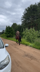 Horse rider and railway scenes documented in Chaikovsky, Russia