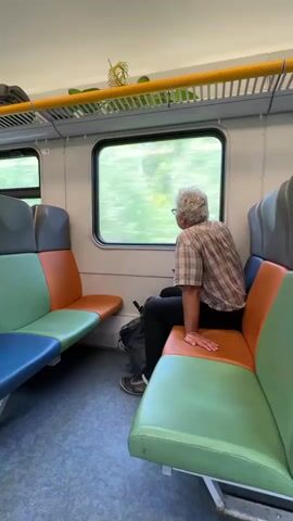 A man with graying hair and glasses is sitting on a train, looking out the window. He is wearing a plaid shirt and dark pants. The train car has multi-colored seats. Outside the window, trees are visible, and they appear to be moving quickly, indicating the train is in motion. A backpack is placed on the floor next to the man. The lighting suggests it is daytime.
