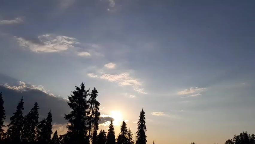 The video shows a silhouette of a line of coniferous trees against a sky with a setting sun. The sun is partially obscured by a few clouds, and its light is casting a warm glow. The sky is a gradient of blue, with lighter tones near the horizon and darker tones overhead. A few scattered clouds are present, some of which are illuminated by the setting sun. The trees are dark and sharply defined against the bright sky, with their branches reaching upwards. The overall impression is one of a peaceful and serene natural landscape at dusk.