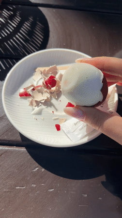 Pets photographed with Easter eggs in Montenegro coastal towns