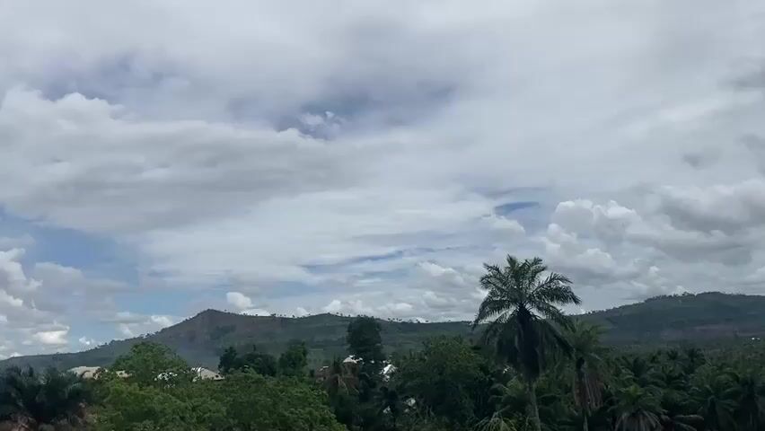 The camera captures a landscape featuring a mountain range in the background, framed by a sky filled with a mix of white and grey clouds, with patches of blue sky visible. The foreground is filled with lush green vegetation, including tall grasses and various trees, with a prominent palm tree on the right. A few buildings are partially visible amidst the greenery. The scene appears to be a rural or semi-rural area with a natural landscape.