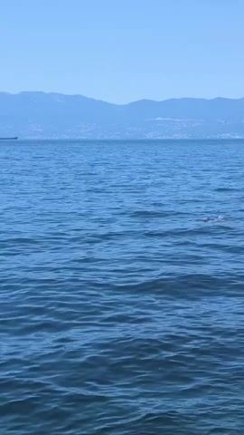 The video shows a wide shot of the ocean. The water is blue and choppy with small waves. In the distance, there are hazy blue mountains. On the far left of the screen, a small, dark boat is visible. In the middle of the frame, a person is swimming. The person's head is visible above the water, and they appear to be swimming towards the right side of the screen. The sky is a clear, light blue.