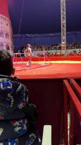 The video shows a circus performance. A woman in a sparkling gold outfit stands on a red circus ring, behind a series of small hurdles. In front of her, a small dog jumps over the hurdles one by one. A young boy wearing a Sonic the Hedgehog jacket sits in the audience and watches the performance. Behind the woman and the hurdles is a crowd of people sitting in the stands, and the tent roof is visible above them. There is a tower set piece at the side of the ring. A tall metal structure is visible on the right of the tent.