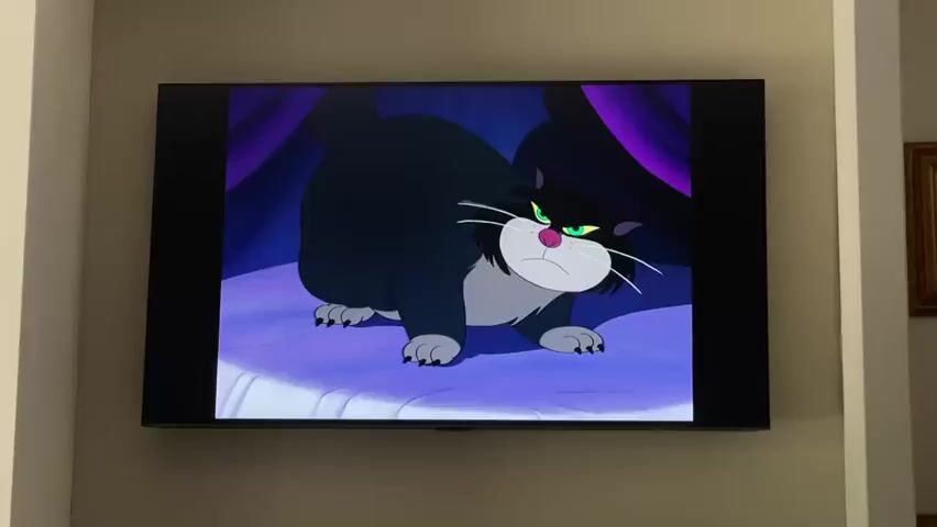 The video displays a cartoon of a large, black cat with white fur on its chest and face, and green eyes. The cat is sitting on a white surface that appears to be a bed or cushion, surrounded by dark purple drapes. The cat is shown from various angles as it shifts its position, revealing its rear and paws.