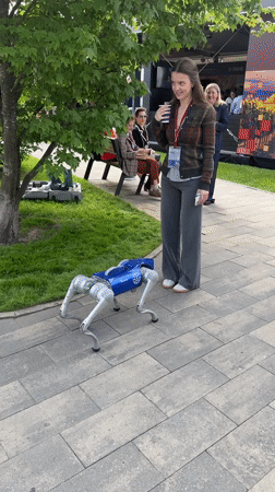 Corporate robotic dog demonstrates movements in Shushary, Russia