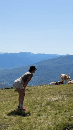 Morning in the Montenegro highlands with cows and a group stretching