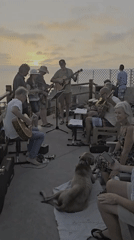 Sunset gathering on an oceanfront deck in Encinitas