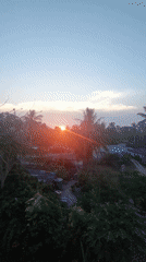 Sunset observed over palm trees in Baan Mae Nam, Thailand