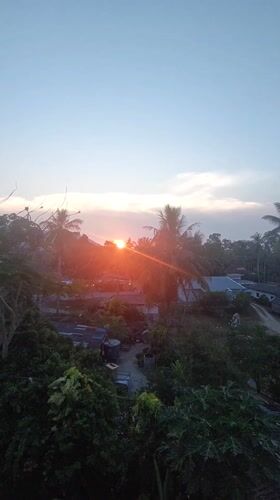 Sunset observed over palm trees in Baan Mae Nam, Thailand