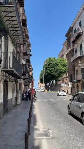 This media file captures a street scene in Palermo, Italy, under a clear blue sky, suggesting a bright, sunny day. The setting is a relatively narrow street lined with buildings featuring balconies and ornate architecture. On the left side, a pedestrian walkway is demarcated by bollards, with a few people walking along it.

The primary activity depicted is tree maintenance. A large tree, likely in a public square or along the street, is being pruned. A worker is positioned in a cherry picker, a hydraulic lifting device, high up in the tree's canopy, actively trimming branches. Below the tree, several vehicles are present, including cars and motorcycles, indicating normal street traffic. Construction or maintenance equipment, such as traffic cones and a truck, are also visible, supporting the ongoing work.

Notable details include the bright sunlight casting shadows, highlighting the time of day as likely midday. The presence of Italian flags on one of the buildings provides a specific cultural cue. The overall mood appears to be one of everyday urban activity, with the specific focus on the work being done on the tree. There is no discernible text visible in the media file.