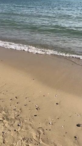 The video shows a sandy beach with gentle waves lapping at the shore. The water is a greenish-blue color and appears clear. In the distance, a breakwater made of rocks extends into the sea, with a few people and boats visible near it. The sky is clear and blue, indicating a sunny day. The focus is on the tranquil scene of the beach and the sea, with the gentle movement of the water creating a peaceful atmosphere.