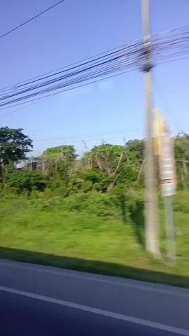 The video is taken from a moving vehicle driving past a lush, green landscape with trees and tall grass. A grey asphalt road is in the foreground, with a thin white line marking its edge. Overhead, power lines stretch across the clear blue sky. As the vehicle moves, concrete poles and a metal gate with warning signs come into view. Beyond the gate is a dusty, cracked ground with puddles of water. The overall impression is of a rural roadside scene on a sunny day.