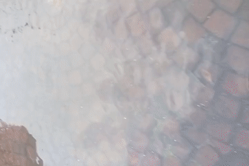 Surabaya residential streets underwater after heavy flooding