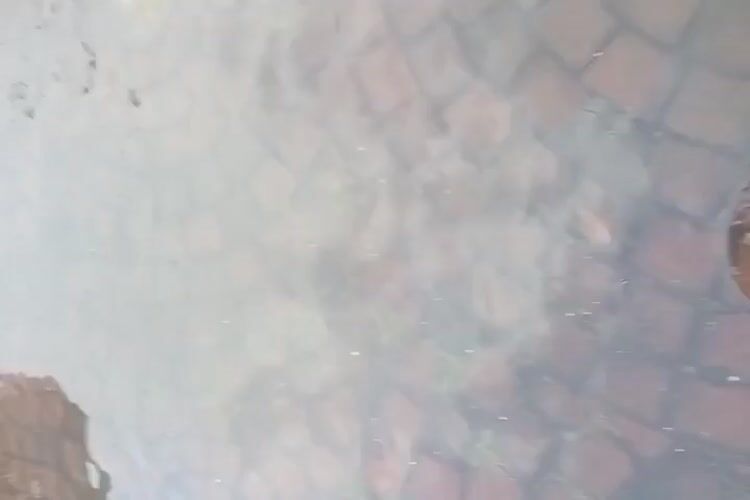 Surabaya residential streets underwater after heavy flooding