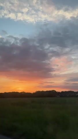 The video shows a landscape at sunset. The sky is a mix of blue, gray, and pink-orange clouds. Below the sky is a line of dark trees and a green field. The camera appears to be moving, possibly from a vehicle on a road. The camera passes a tree.
