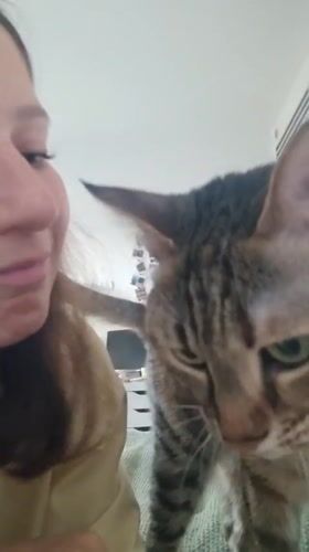 Woman plays with tabby cat in afternoon Ramat Gan session