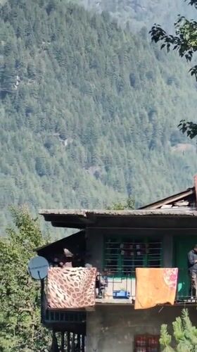 Morning documentation of Vashisht village landscape and camping areas