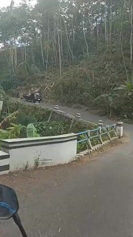 The video begins with a low-angle perspective from a moving vehicle, possibly a motorcycle, looking forward along a paved road that curves to the right. To the left of the road, there is a concrete barrier with a blue railing supported by white pillars. Beyond the barrier, a lush, green hillside slopes upwards, covered in trees and dense vegetation. A few scattered trees and fallen branches are visible on the incline. Further up the hill, a black car is seen driving away from the camera on a road that branches off. The road continues, and the barrier transitions to a bridge-like structure over what appears to be a small ravine or ditch. The video then pans slightly to the right, revealing more of the road and the natural landscape. The road continues to curve, and the surrounding environment consists of more trees and foliage. The camera then appears to move closer to the railing of the bridge, showing a section of the concrete structure. The scene then shifts to a wider view of the landscape, looking up a hillside dotted with palm trees and other vegetation. Terraced fields or slopes are visible in the background. The video appears to be taken from a moving vehicle, offering a dynamic view of a rural, natural setting.