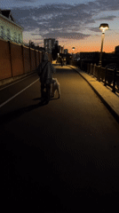 Evening dog walk along the Yenisei River embankment at dusk
