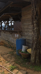Morning visit to mountain cafe in Vietnam captures dining, wildlife