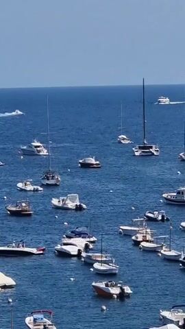The video shows a wide shot of many boats anchored in the ocean under a clear blue sky. The water is a deep blue and appears calm. Several boats are visible, ranging in size from small dinghies to larger yachts. Some boats have their sails up, while others are moored. There are no people visible in the video. The overall impression is one of a peaceful and serene day at sea.