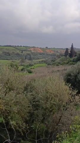 The video shows a landscape view of a valley under a cloudy sky. The foreground is filled with bushes and shrubs. A green field in the mid-ground contains a flock of sheep grazing. Further in the distance, there are small trees and hills, with what appears to be a man-made mound of earth or rock. The camera zooms in slightly on the sheep before panning up to reveal a rocky ledge.